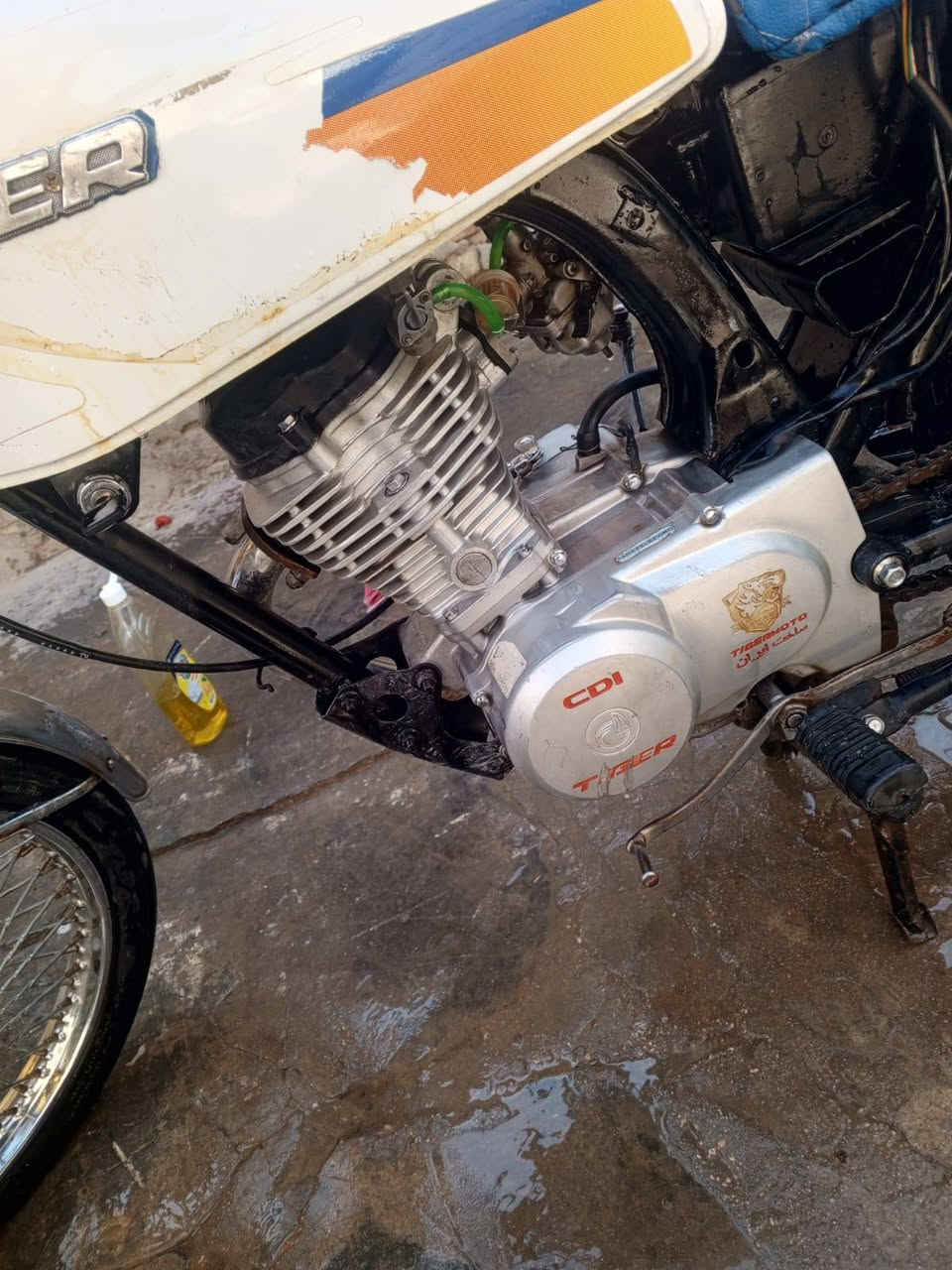 سلام عليكم  شباب  دزاجه اوراق لبيع  اوراق سكنر  مكاني نجف كوفه  سعر 550 وبيهه مجال  شراي يجي علا رقم تلفون ***********
