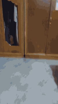 غرفه للبيع تتكون من كنتور ابو السته ملحق زاويه كنتوريه جربايه ام المكتبه ميز


**إذا كنت صاحب هذا الإعلان وتريد حذفه لأي سبب، رجاءا أرسل رسالة إلى الدعم الفني**