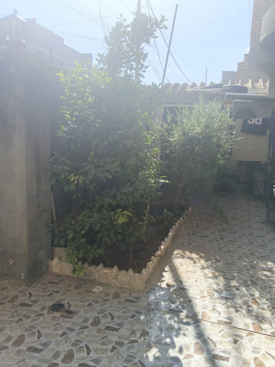 منزل للبيع في الخاجيه مساحته 206 متكون من مطبخ مساحته 4×5 واستقبال 7 ونص ×4 صاله 4عرض 9 طول غرفتين 5×4 وطابق ثاني متكون من غرفه نوم على الاستقبال وغرفه نوم على المطبخ وصاله و حمام وتواليت يبعد عن الشارع العام 50 متر للاستفسار اتصال ***********
