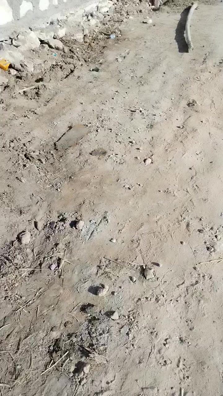 دونم سند ٢٥ واجه ٢٥متر كافه الخدمات طويريج الحولي مقابل الحي العسكري تفاصيل على الخاص مكتب حيدر للعقار السعر ١٢٥ مليون الدونم ركن مسيج حجر جاهر للزراعه


**إذا كنت صاحب هذا الإعلان وتريد حذفه لأي سبب، رجاءا أرسل رسالة إلى الدعم الفني**