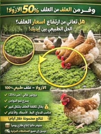 من رخصه الادمن، متوفرررر، اوزولا اقوه بديل الاعلاف بكميات خير من الله ...