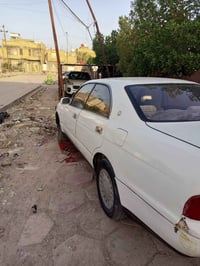 بطه • ورقة ١٥ • حائز ثالث