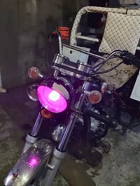 ستوته • ٢٠٢١ • فحل عالي