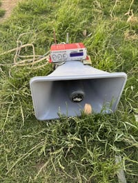 بوقيه هنديه • أصليه • صوت عالي