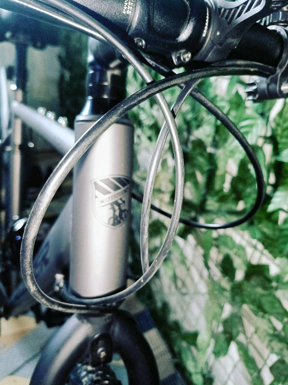 بغداد 
بايسكل ترحال ماركة بلغارية

دراجة السفر والمسافات الطويله

تمتاز بالقوة والسرعة

المنيوم

حجم 28

بريكات دسك

تاير عريض حجم 700×42

عدد السرعات 8×2

سستم السرعات نوع l-twoo

السعر راسني على الخاص

مكاني بغداد الشعله 

 +جاملغات + قاعدت مطاريه +مطاريه +لايت+كسارات فقط