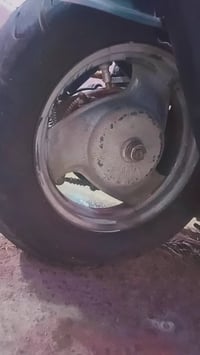 ويل ماكس • منغولي • كربلاء