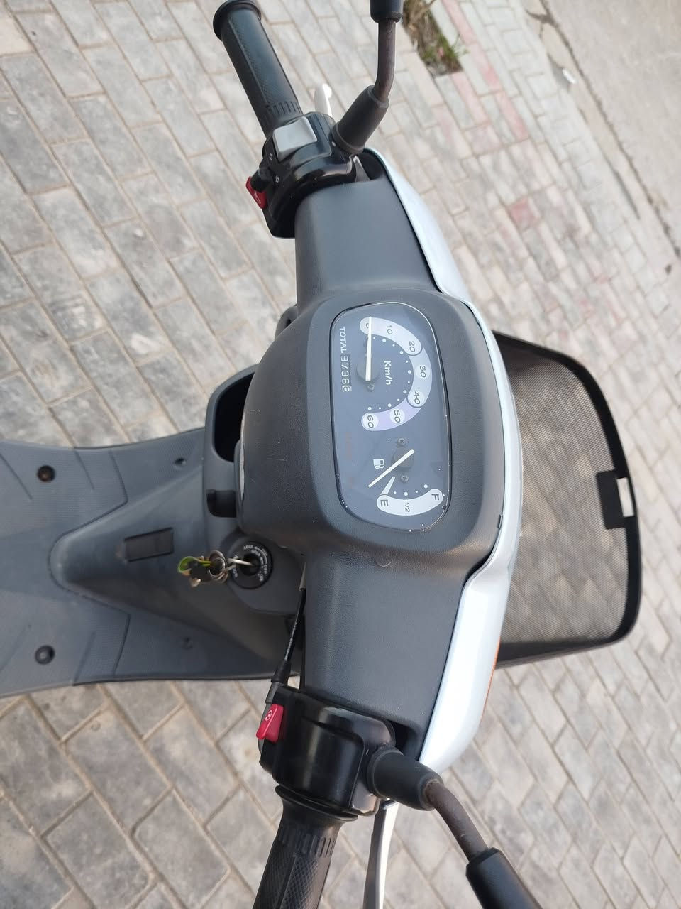 سلام عليكم دراجه منغولي نضيفه بمعنه كلمه دراجه برغي مامفتوحه بيه بعدهه ع وضعه سعرهه 950 وبيه مجال استفسار ***********
