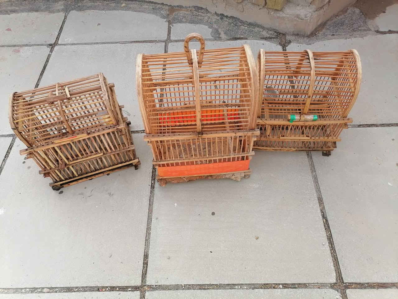 3اقفاصه البيع بسعر 25


**إذا كنت صاحب هذا الإعلان وتريد حذفه لأي سبب، رجاءا أرسل رسالة إلى الدعم الفني**