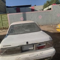 بونتيشا • فقط تحويل • رقم بابل