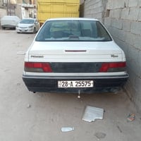 بيجو روا • ٢٠٠٩ • نجف