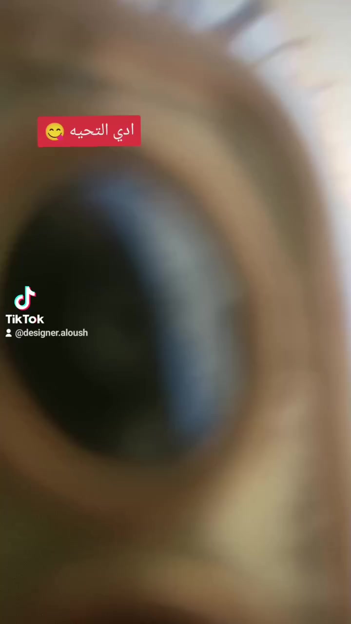 دراجه للبيع اربعه كير تعمير جديد دراجه نضيفه وحلوه شرط شلعه ومعدل  والشراي بي خير ويدلل يجي خاص مفتوح ‏‪***********‬‏رقم الهاتف
