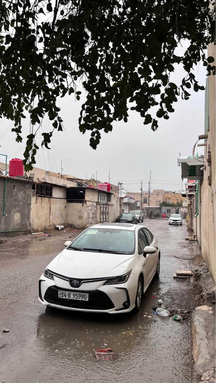 سلام عليكم كورلا مديل 2023 رقم بصره الجديد 
العنوان المعقل الابله 
*********** البصرة, العراق
