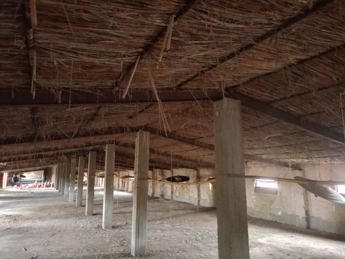 سلام عليكم شيش للبيع ابو النج اوركاني او شيلمان سباني شيش مال حقل او مكاني بابل بل كفل ولشراي ينتصل عله هاذ الرقم ***********

ادمن وافق
