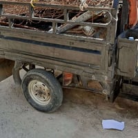 ستوته • فلوجه • انوار