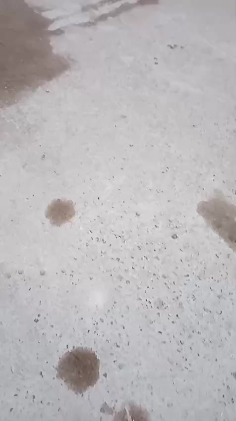 للبيع بيت زراعي 80م
طابق واحد الدوره لزيتون
بسعر80
***********
