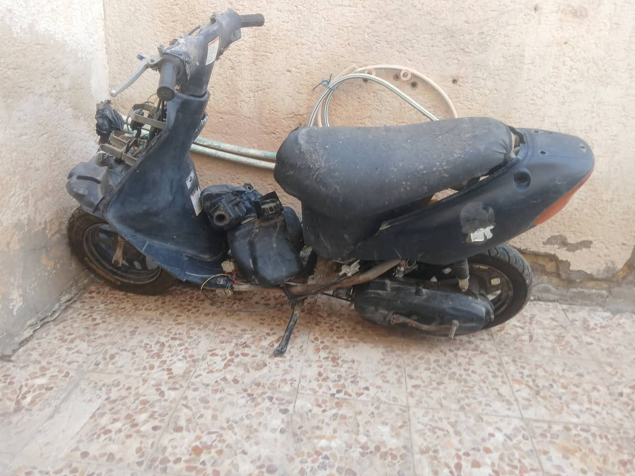 شغالات بس يحتاج ترتيب رخيصات


**إذا كنت صاحب هذا الإعلان وتريد حذفه لأي سبب، رجاءا أرسل رسالة إلى الدعم الفني**