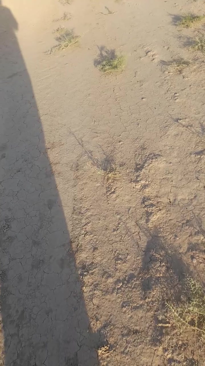 السلام عليكم ارض زراعيه للبيع مساحة ١٢ دونم عقد زراعي عل ١١٧ سلف الأرض بيه ماء اسأله بوري وماء نهر سقي لأرض حلوه تصلح سكن ومشاريع وزراعة مكان الأرض بغداد النهروان ٩نيسان قرية ابا ذر الغفاري وجه عل شارع مباشر *********** *********** وهلا وسهلا بكم وكلشي واضح بل فيديو
