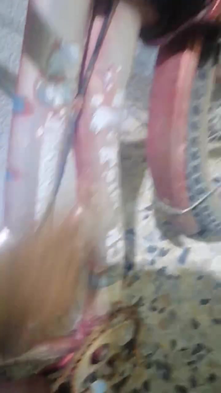 الي يفيدة يراسلني سعرة مناسب محتاج تعديلات بسيطة


**إذا كنت صاحب هذا الإعلان وتريد حذفه لأي سبب، رجاءا أرسل رسالة إلى الدعم الفني**