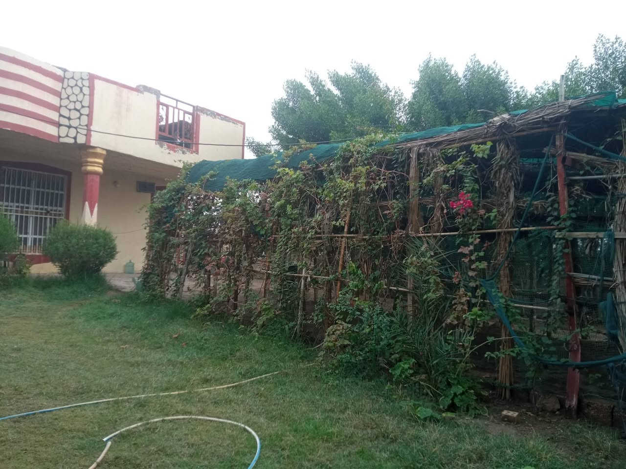 السلام عليكم بيت لبيع المساحه 700
يتكون اربع غرف ومطبخ حار وبارد وحديقه خير من الله 
وصحيات داخليه و خارجيه بيت كامل ...اليريد يتواصل 

***********
