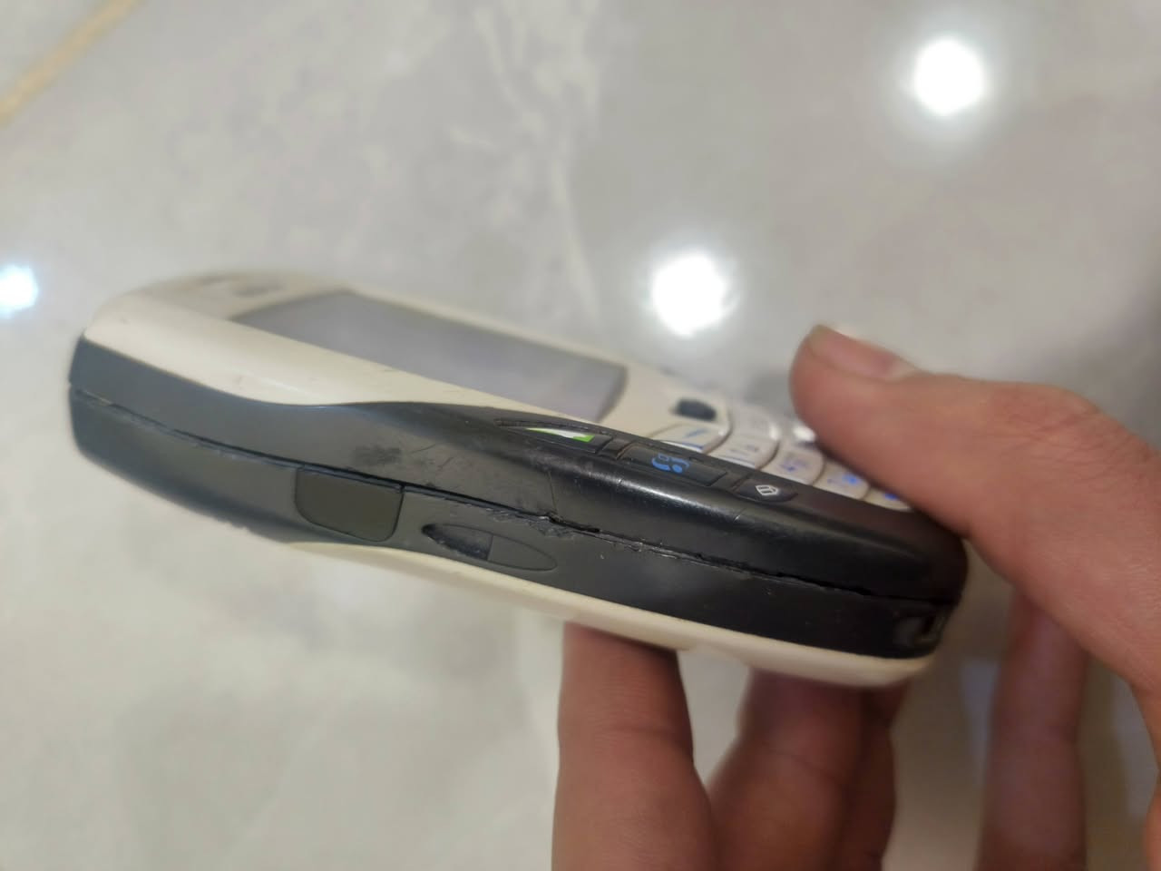 دب شغال كامل فقط الدكم يدوسن بضغطة قويه سعره ٣٠ ألف مع بطاريه


**إذا كنت صاحب هذا الإعلان وتريد حذفه لأي سبب، رجاءا أرسل رسالة إلى الدعم الفني**