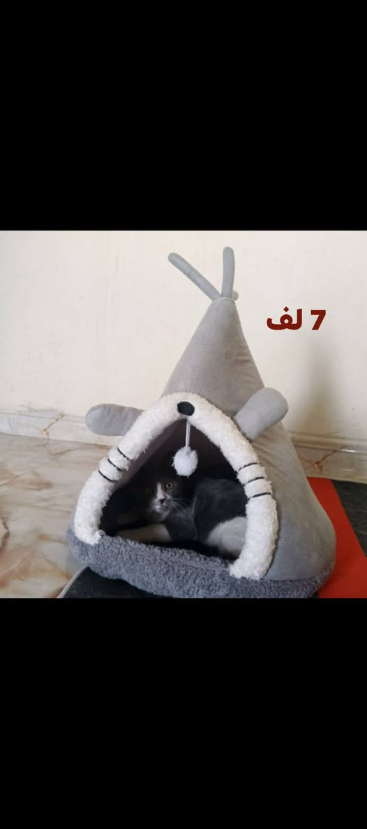 اليريد طبلي خاص


**إذا كنت صاحب هذا الإعلان وتريد حذفه لأي سبب، رجاءا أرسل رسالة إلى الدعم الفني**