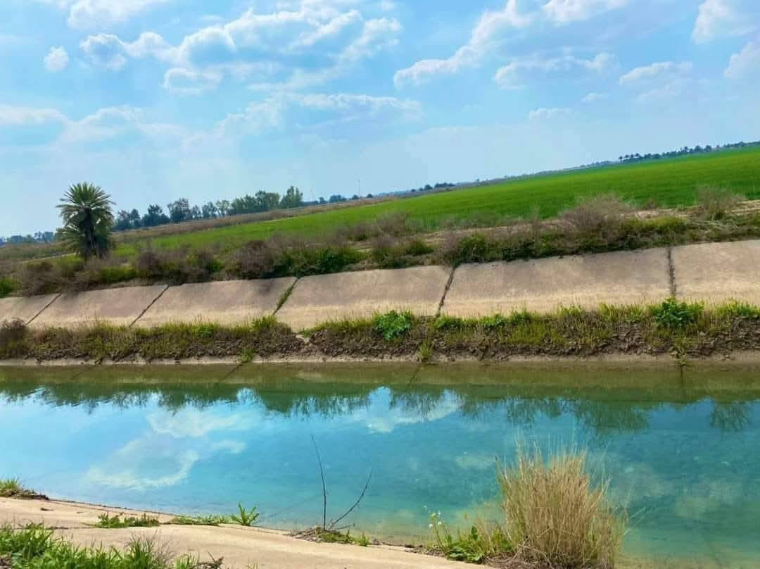 السلام عليكم اليوم عرض 💎 جديد للاستثمار والتطوير✨ العقاري 8دوانم منطقة الشيخ عامر العيساويه عبور جسر رعود 🌉ماء 💧كهرباء ⚡دوانم طابو زراعي سند 25عله فلوجه الموقع حلوه  🎋 سعر دوانم واحد 7وبي مجال التطوير الشهاليهات مدارس اسوق مستشفى التبليط ماء شتاء وصيف عليه دوانم راقيه وجهه دوانم 50×45كلش دوانم حلو 🎋وقابل التفاوض ماتدفع  تضمان حقك تفتح بيان ثاني اتصال *********** واتساب وحياكم الله ✍️
