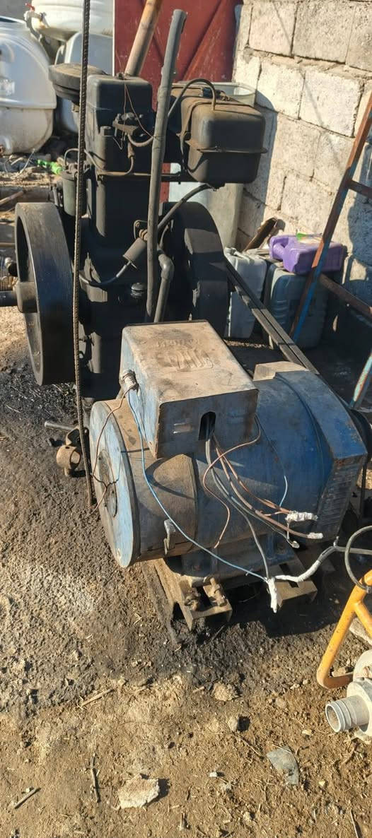 مولد هندي فلاوينين حجم 16راس توليد 15 المكان ديالى القالبيه ***********
