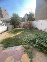 #للأيجار__في__السيدية  مكتب ارض القمة   بيت مساحه 250 متر كلاسيكي   يت...