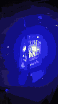 السلام عليكم راس ثور فلات موديل1996 مكفوله كفاله عامه كص نقل جثه اصوليات كير محرك حداديه تبريد كفاله رقم بغداد انكليزي مشروع وطني ابسمي مداور نجف صاعده هزه جديده سنويه 2029 السياره ماناقصه برغي مكاني نجف رقمي *********** السعر 117
