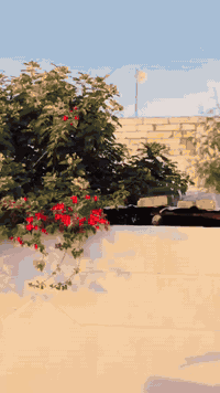 سلام عليكم دراجه نامه تعمير البيع او مراوس عينه واليت دراجه صاره 13يوم مكفوله عام  ***********
