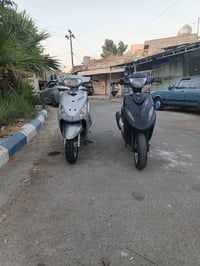 ماكس عدله • ماكس منغولي • محل