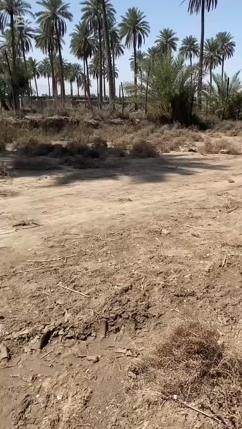 عندي قطعة أرض للبيع المساحة ٢٠٠متر طويريج الرشيدة الرقم ***********سعر بلاش للطبين
