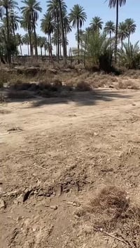 أرض • طويريج الرشيدة • ٢٠٠م