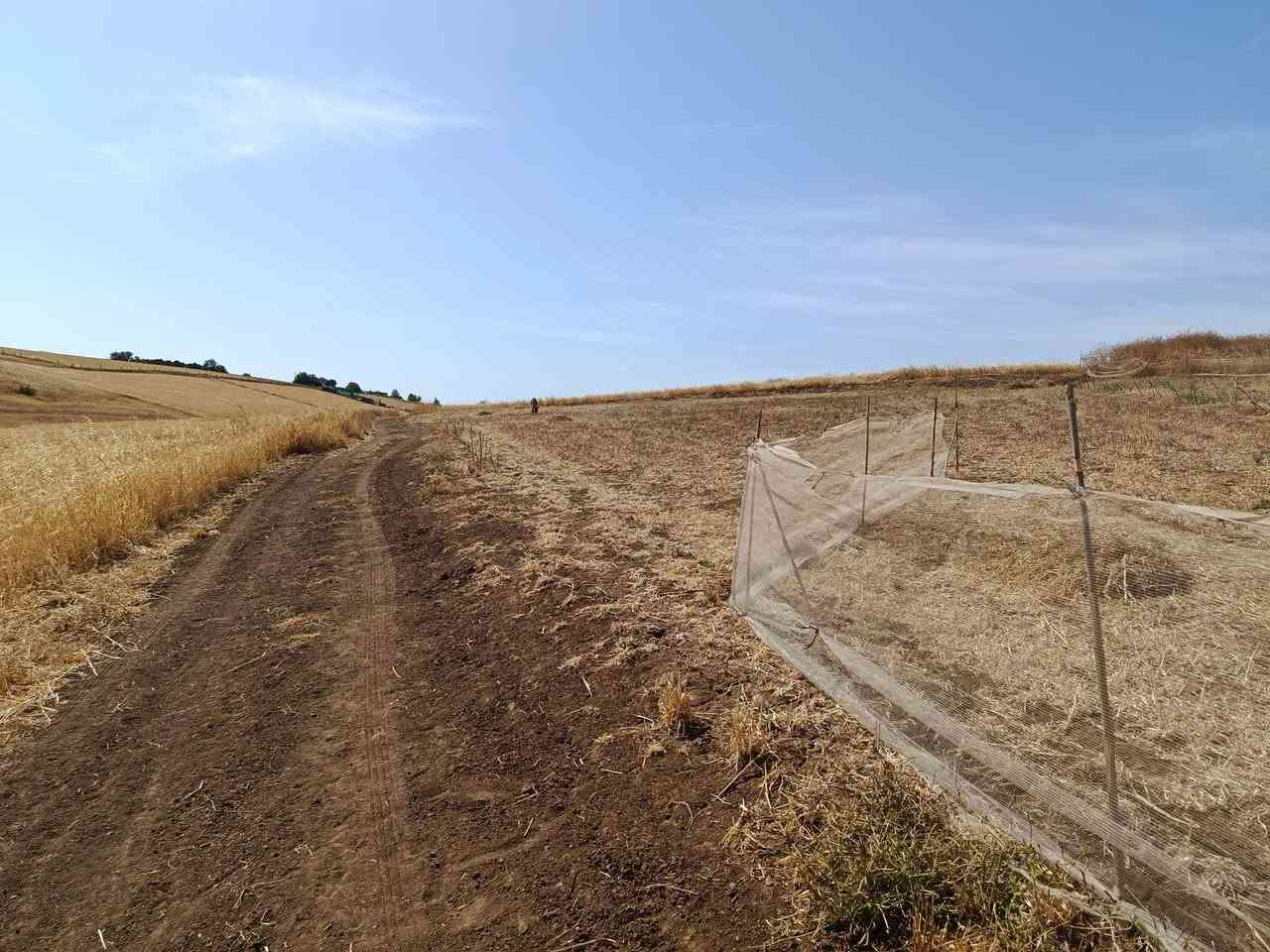 اعلان أرض فلاحية للبيع تيتر مساحة 4000 متر على طريق 💧🌾🌾🌾🌾🌾🌾🌾 كات واجد جماعة حودران ضي رومي إقليم الخميسات الثمن 15


**إذا كنت صاحب هذا الإعلان وتريد حذفه لأي سبب، رجاءا أرسل رسالة إلى الدعم الفني**