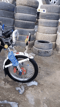 دراجة تايكر موديل 25 زيرو ماشي600 كيلو فقط  جنبزة وترتيب فول لون مميز ...