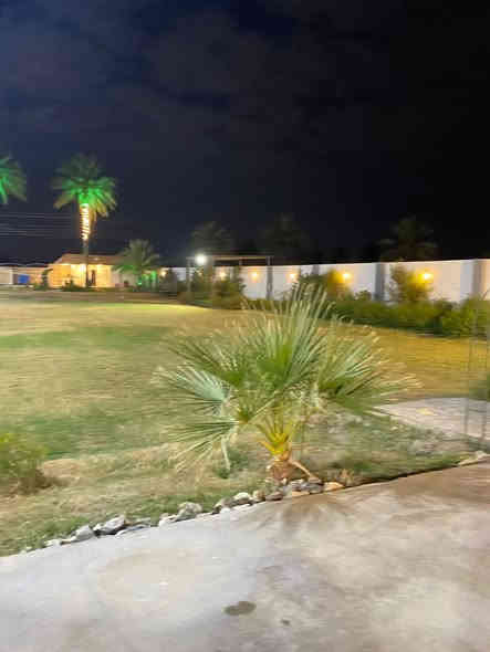 متوفر حجز مسائي اليوم في البوعيثة مجمع الطارق مزرعة سرمدي المزرعة موثقة بتطبيق اجرلي ‭0770 281 1244‬
