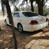 شاهينه • سنوية • سوق الشيوخ