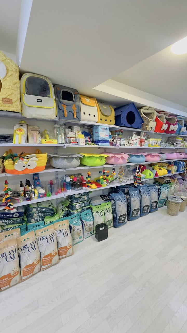 (متجر كاتي شوب🐈)
يتوفر لدينا جميع مستلزمات الحيوانات الأليفة بانسب الاسعار
ويوجد فندقة للقطط وقص الشعر والشور 
ويتوفر ايضاً توصيل الى جميع مناطق اربيل🤍


**إذا كنت صاحب هذا الإعلان وتريد حذفه لأي سبب، رجاءا أرسل رسالة إلى الدعم الفني**