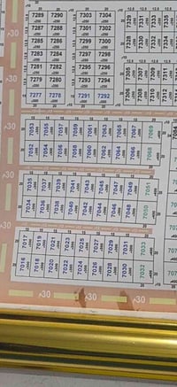 حي الامير • ٣٠٠م • عرصه