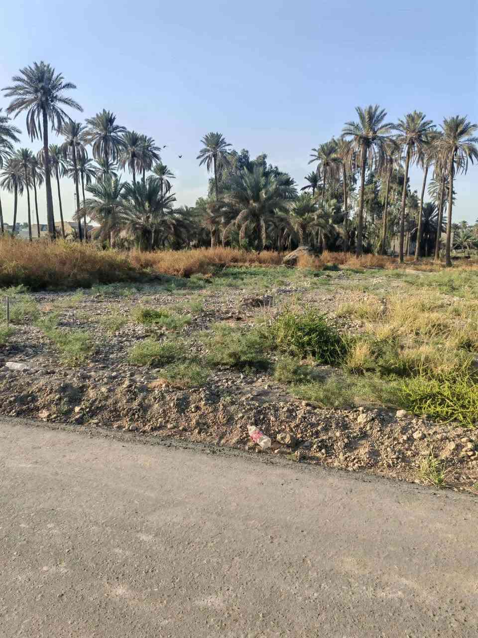 قطعه مساحتها900متر سنتر على شارع كريطعه
قرب الجدول .خدمات كامله ماء كهرباء تبليط
طابو زراعي سند25

مكتب وعقارات الوارث
***********
