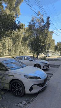 متابعين معرض محمد شمس ☀️ وهاي لعيونكم  يدللون علينه متابعين معرض محمد ...