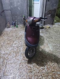 بطة • بدون اوراق • نضيفه