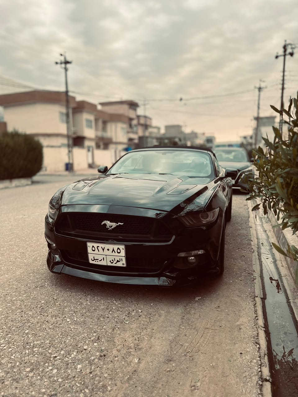 موستانك GT2017
محرك v8 
مواصفات برميوم يعني فول
ضرر قطعتين صبغ فقط
جاملغ امامي وجاملغ خلفي
سياره بدون نقص
كير محرك بشرط
ماشيه 68 الف ميل
مكاني كركوك
سعر مناسب جداً
 الي يحب يتواصل علواتس ايتصل علرقم
***********
