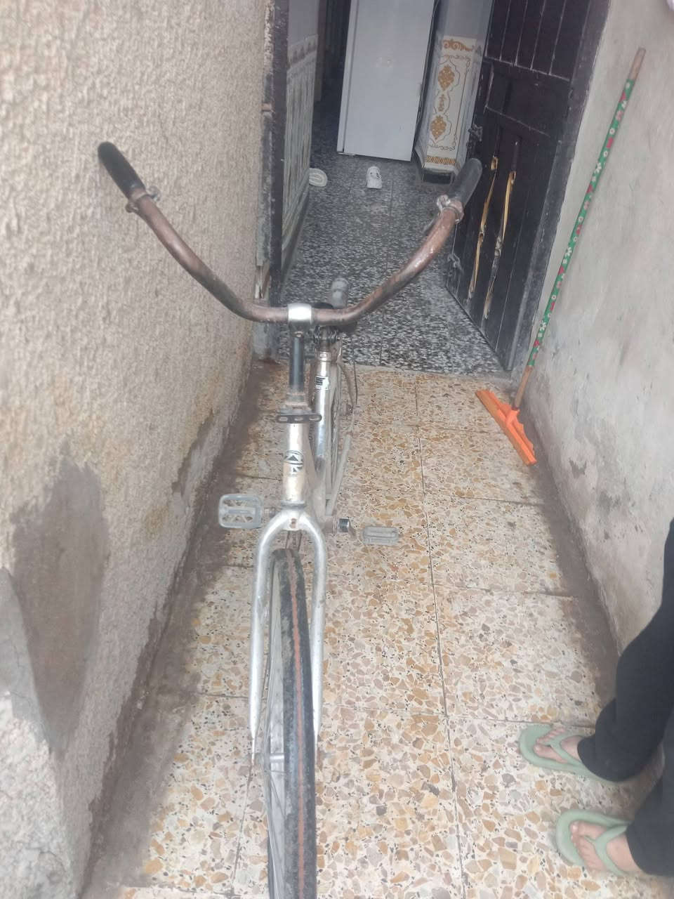 السلام عليكم بايسكل بناتي حجم 26 بس تاير بنجر الي كدام ويايسكل حلو نضيف السعر 25 ويخبل الي موشراي لا يتعبني👍♥️


**إذا كنت صاحب هذا الإعلان وتريد حذفه لأي سبب، رجاءا أرسل رسالة إلى الدعم الفني**