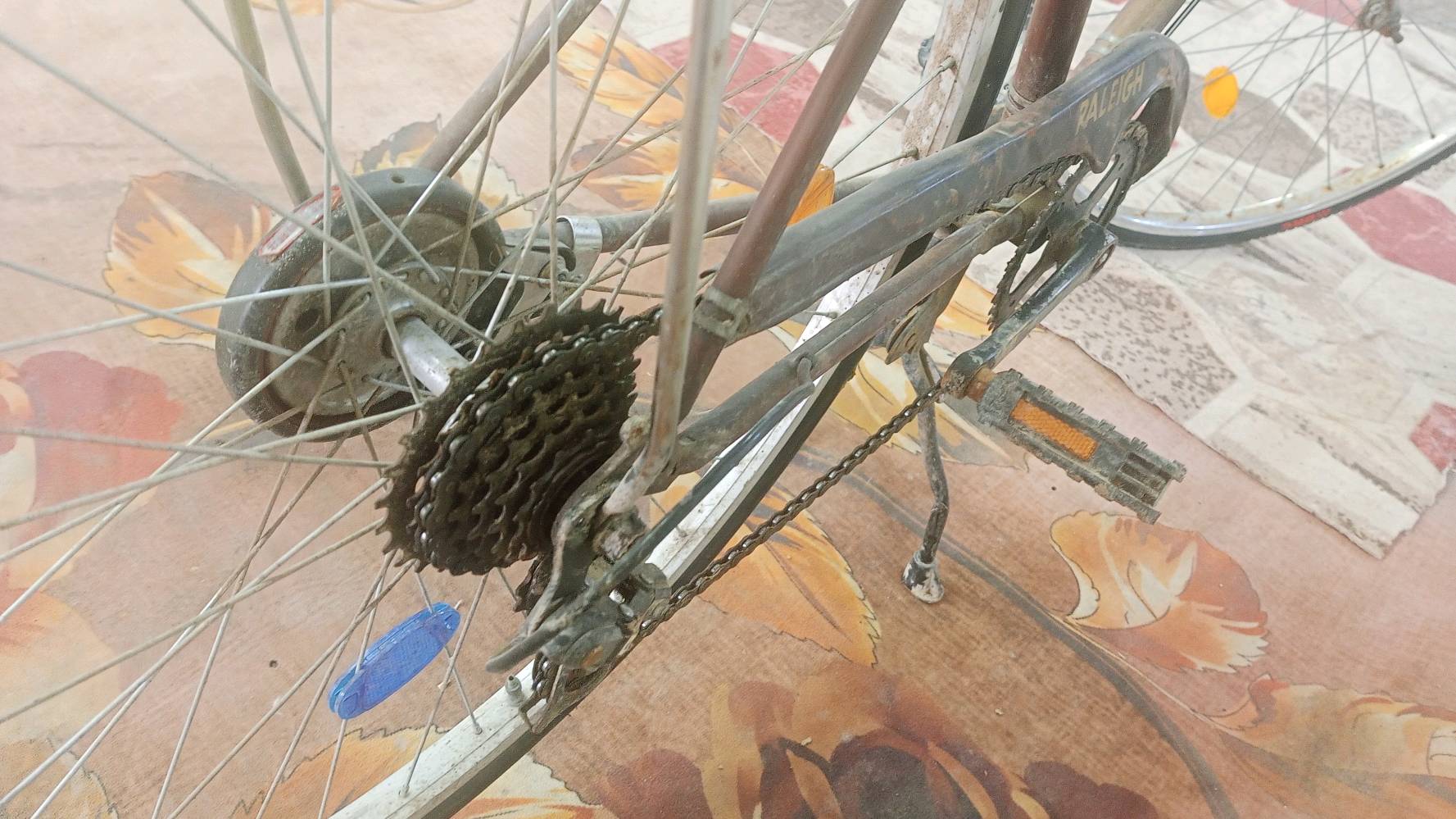 الناصرية حي الجوادين 