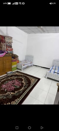 نجف حي السلام • عدد ٢ • عاجل