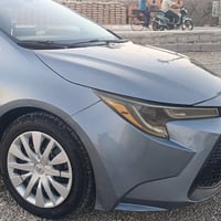 ٢٠٢٠ • وارد امريكي • بنيد مصبوغ