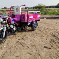 ستوته • ٢٠١٨ • وراق اصلية