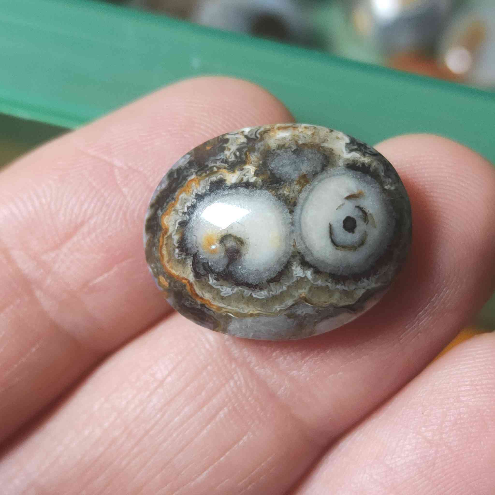 مجموعه فصوص داودي يماني 
يوجد توصيل الحجز خاص


**إذا كنت صاحب هذا الإعلان وتريد حذفه لأي سبب، رجاءا أرسل رسالة إلى الدعم الفني**