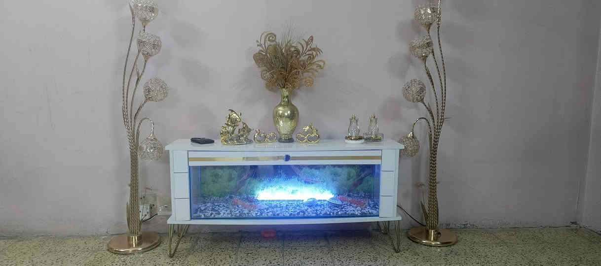 السلام عليكم ميز بلازمه وحوض سمك للبيع ب125 وبي مجال بسيط مكاني شقق الخضراء ايسر الموصل
***********
